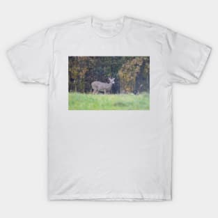 White Tailed Deer T-Shirt